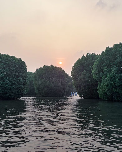  Mangroves & Sacred Groves 