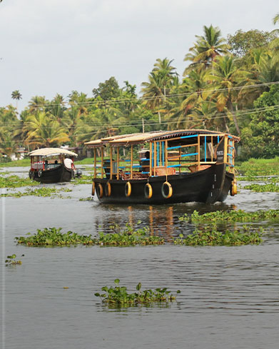  Backwaters & Biodiversity 