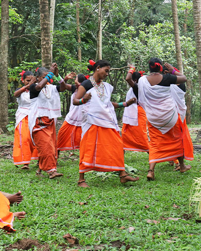  Indigenous Music & Artforms 